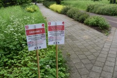 503659330_1240118614570164_5090416274865699706_n