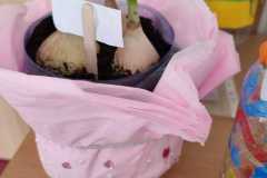IMG-20250318-WA0014