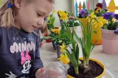 IMG-20250318-WA0024
