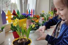 IMG-20250318-WA0025
