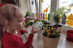 IMG-20250318-WA0027