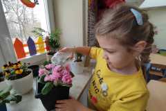 IMG-20250318-WA0028