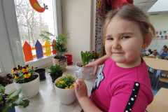 IMG-20250318-WA0029