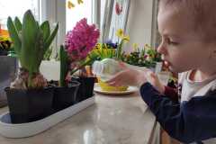 IMG-20250318-WA0030