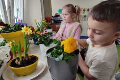 IMG-20250318-WA0031